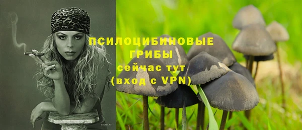 тгк Аркадак
