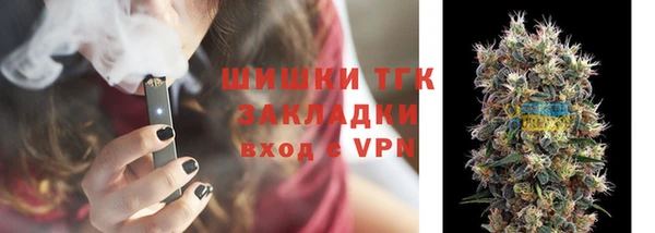 тгк Аркадак